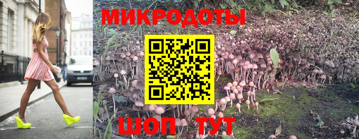 Озёры  Галлюциногенные грибы Psilocybine cubensis  Вход с VPN 